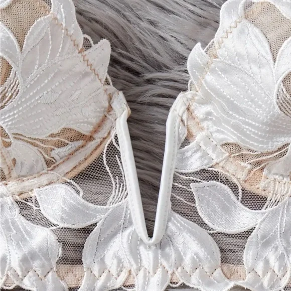 IZA Lotus Ivory Satin Embroidered Over Sheer Mesh Deep V Bustier Bra & Panties - Picture 10 of 15